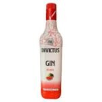 Gin Invictus Melancia