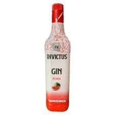 Gin Invictus Melancia